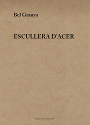 ESCULLERA D'ACER