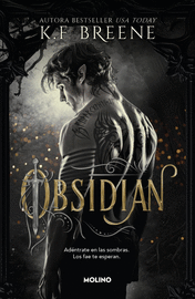 FAE DE LAS SOMBRAS, LOS 1. OBSIDIAN
