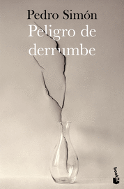PELIGRO DE DERRUMBE